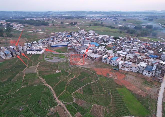 洪水涌入无证养蛇场致60岁女子被毒蛇咬伤身亡