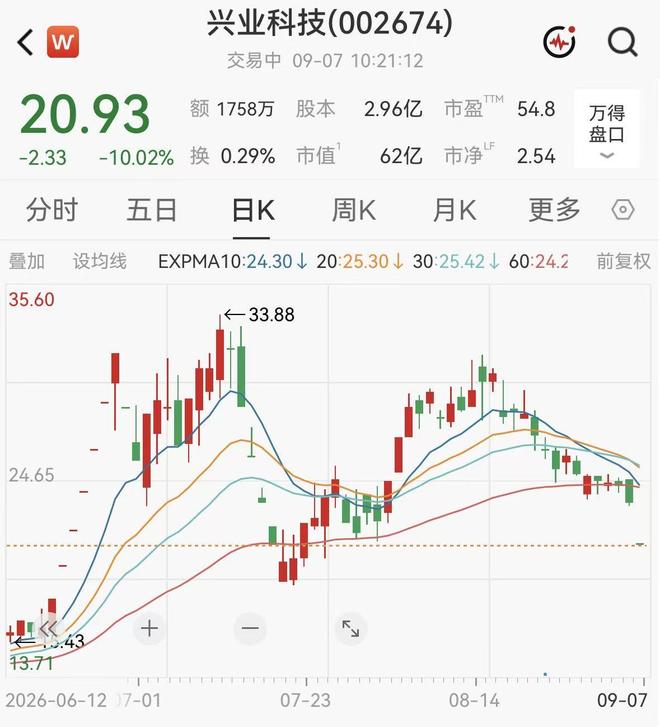 跨界"追光"牛股被立案调查，股价应声一字跌停，公司作出回应