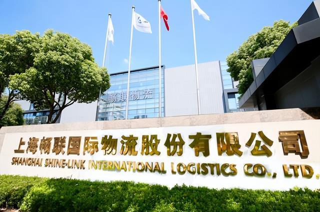 执掌8个月尹强离任，53岁蔡嵘接掌畅联股份